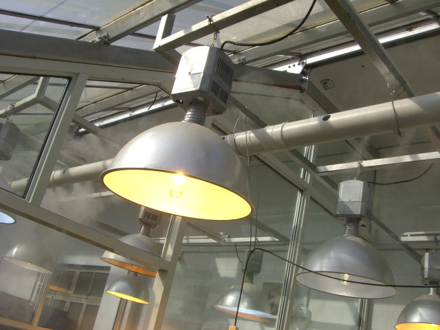 (f)W(xu)vӝST-18Z픈D