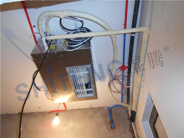 ζͤAͥ·66ŪvغCHST-2һ_bD